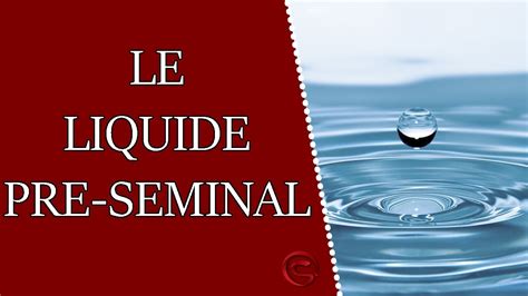 liquide pre seminal|Le liquide pré